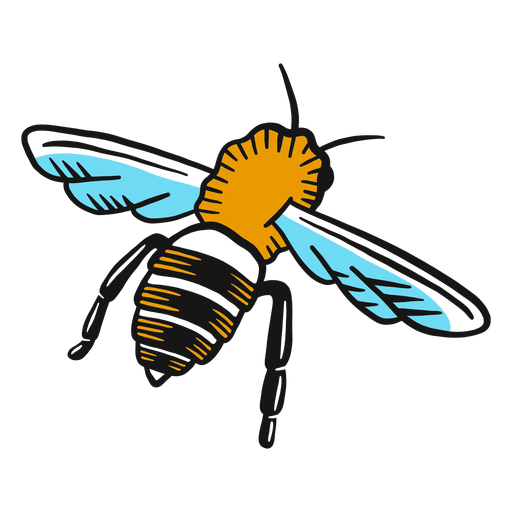 Dibujo de ala de pierna de avispa de abeja
