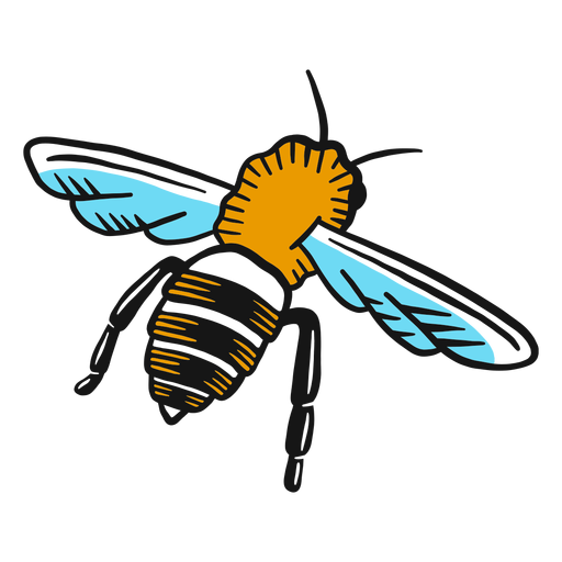 Dibujo de ala de pierna de avispa de abeja Diseño PNG