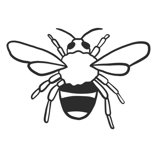 Doodle de ala de raya de avispa de abeja Diseño PNG