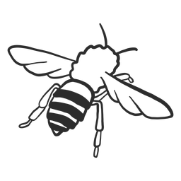 Bee Wasp Wing Stripe Doodle PNG & SVG Design For T-Shirts