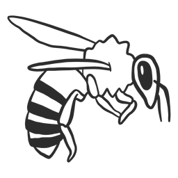 Bee wing wasp stripe doodle PNG Design