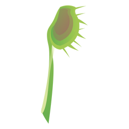 Fleischfressende Sarracenia Kannenpflanze Fliegenfalle Sonnentau flach PNG-Design