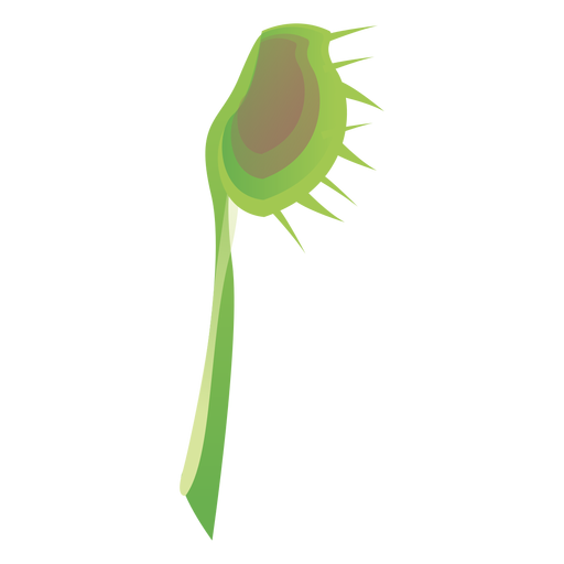 Fleischfressende Sarracenia Kannenpflanze Fliegenfalle Sonnentau flach PNG-Design