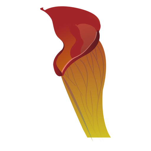 Carnivorous sundew sarracenia pitcher plant flytrap flat PNG Design