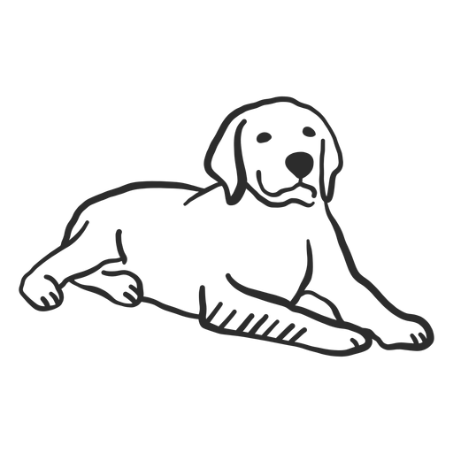 Perro cachorro oreja acostado doodle Diseño PNG