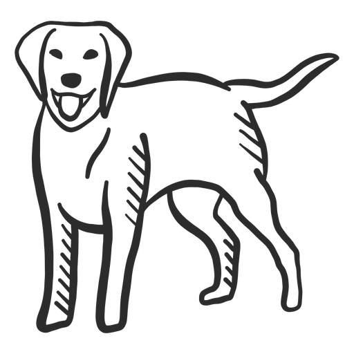 Perro cachorro cola lengua oreja doodle Diseño PNG