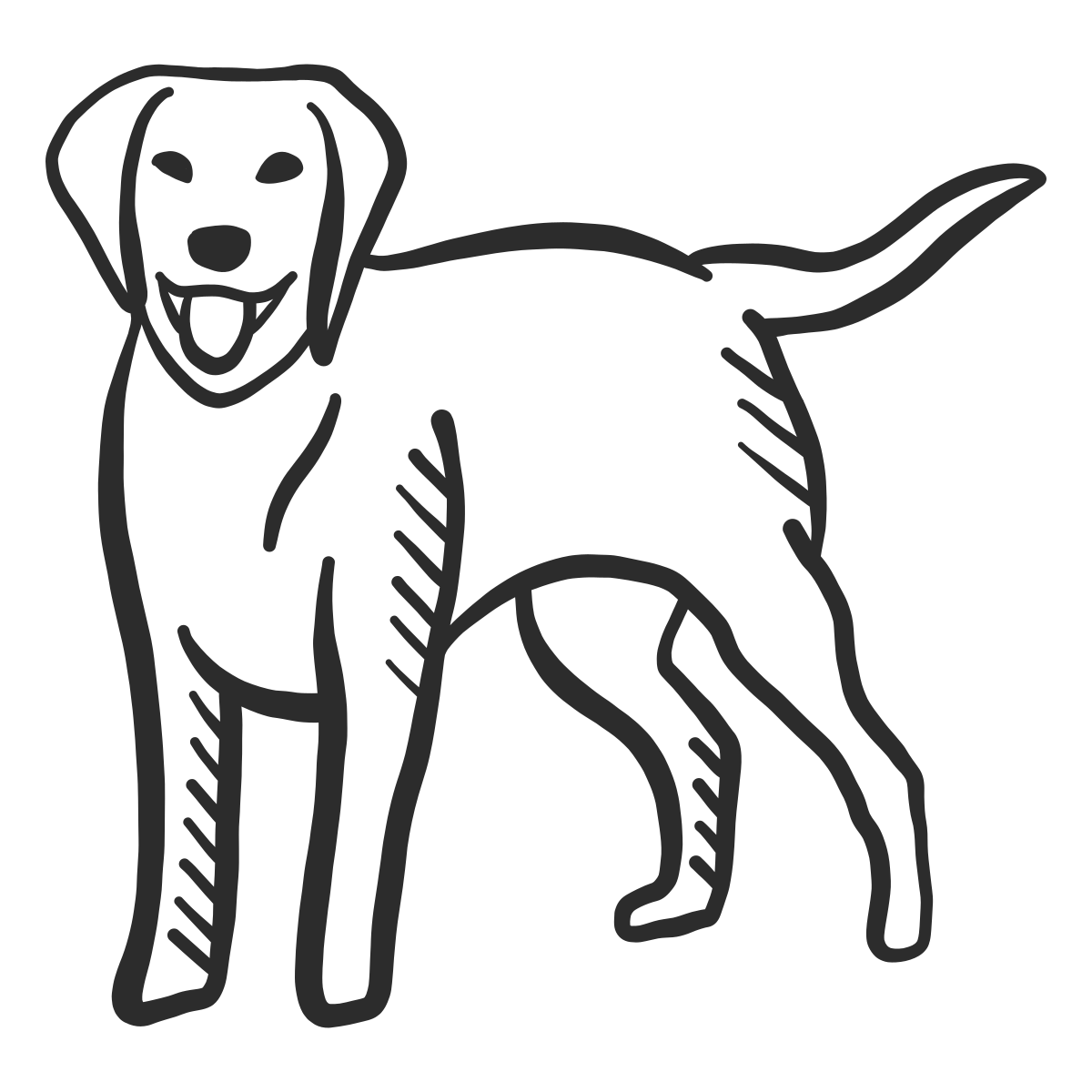 Design PNG E SVG De Rabo De Cachorro Cachorro Rabo De Cachorro Rabisco De  Orelha Em Língua Para Camisetas, image size:1200x1200