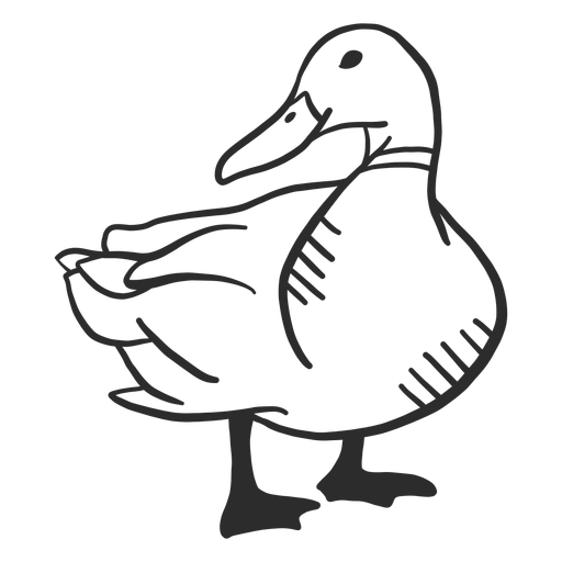 Duck drake wild duck wing beak doodle PNG Design
