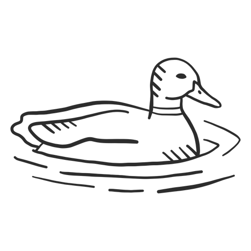 Duck drake wing wild duck beak doodle PNG Design
