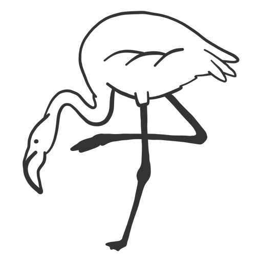Doodle de cuello de pierna de pico de flamenco Diseño PNG