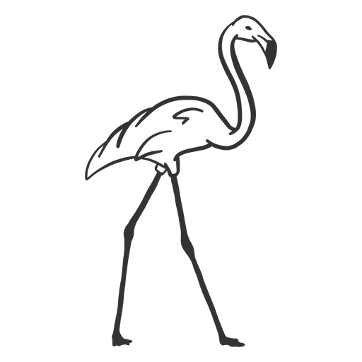 Doodle de la pierna del cuello del pico del flamenco Diseño PNG