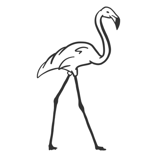 Flamingo beak neck leg doodle - Transparent PNG & SVG vector file