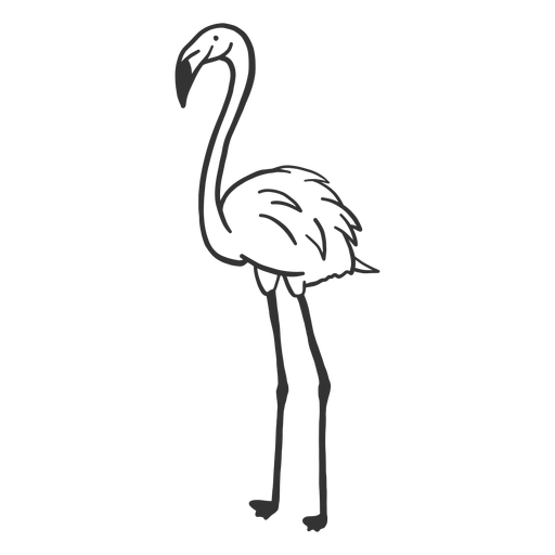 Flamingo neck leg beak doodle PNG Design