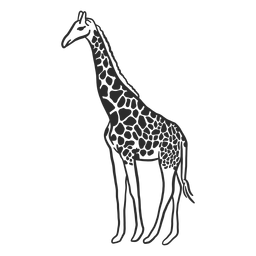 Doodle de cola de osicones de cuello de punto de jirafa Transparent PNG