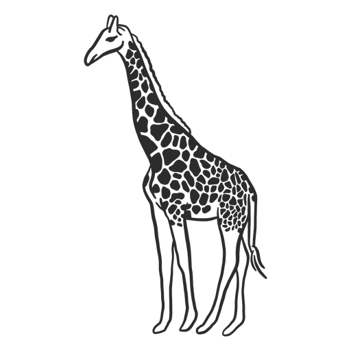 Doodle de cola de osicones de cuello de punto de jirafa Diseño PNG