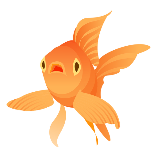 Goldfish flipper gills tail illustration