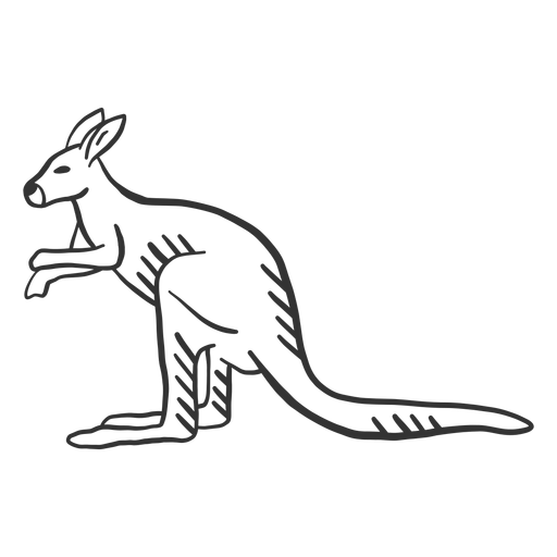 Download Kangaroo Ear Tail Leg Doodle Transparent Png Svg Vector File