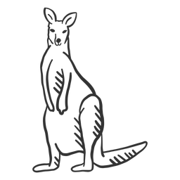 Kangaroo leg tail ear doodle PNG Design
