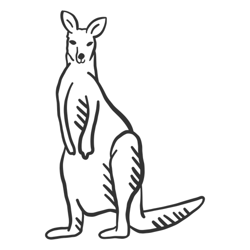 Download Kangaroo Leg Tail Ear Doodle Transparent Png Svg Vector File