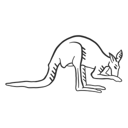 Doodle de perna em orelha de cauda de canguru Desenho PNG