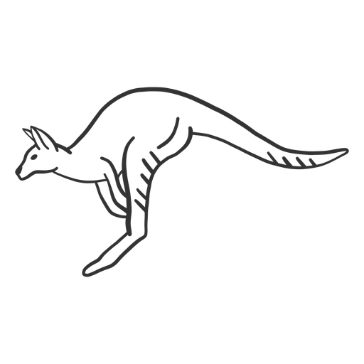 Download Kangaroo Tail Leg Ear Doodle Transparent Png Svg Vector File