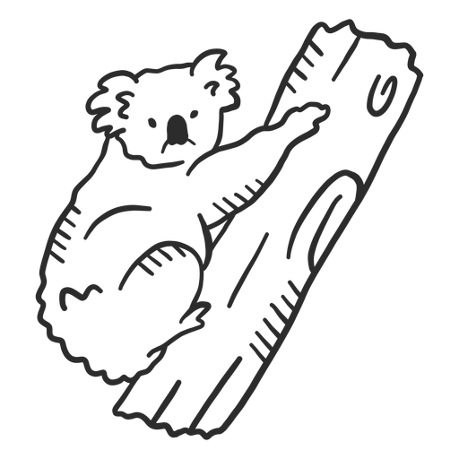 Doodle de ramo de nariz de orelha de Koala Desenho PNG