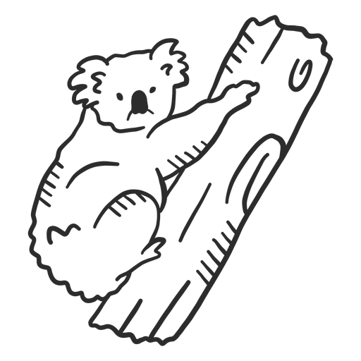 Koala ear nose branch doodle PNG Design