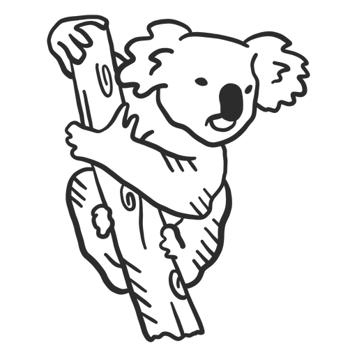 Doodle de orelha de ramo de nariz de coala Desenho PNG