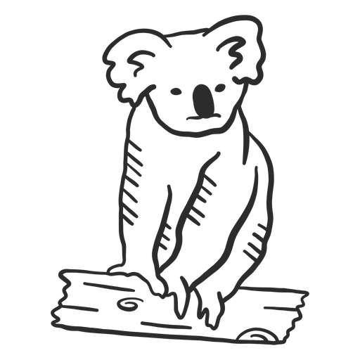 Doodle de ramo de orelha de nariz de coala Desenho PNG