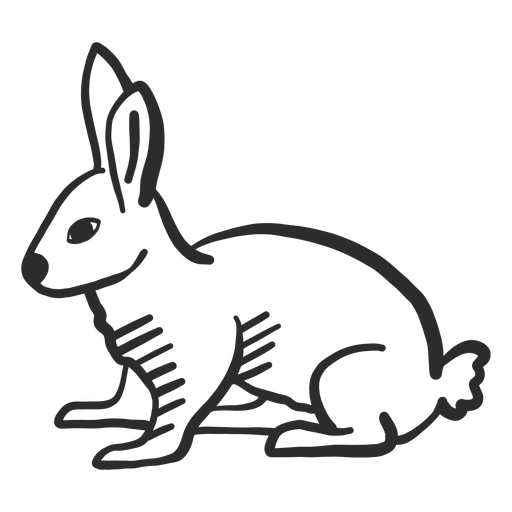 Download Rabbit bunny muzzle ear tail doodle - Transparent PNG ...