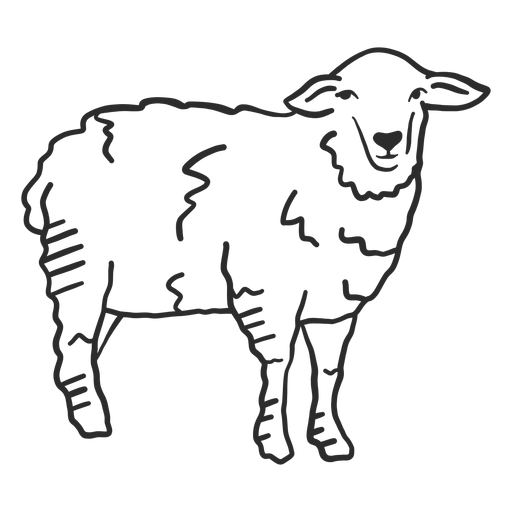 Sheep lamb hoof wool ear doodle PNG Design