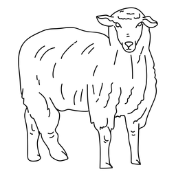 Oveja oveja lana pezuña golpe Diseño PNG