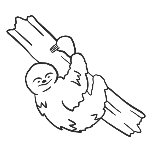 Sloth branch claw tree doodle PNG Design