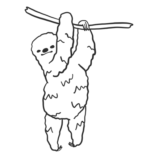 Doodle de garra de ?rbol de rama de perezoso Diseño PNG