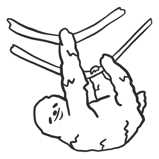 Doodle de galho de preguiça Desenho PNG