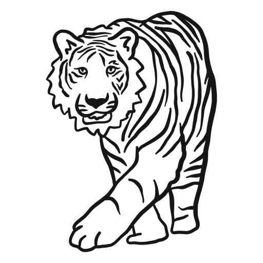 Doodle de raya de oreja de hocico de tigre Diseño PNG