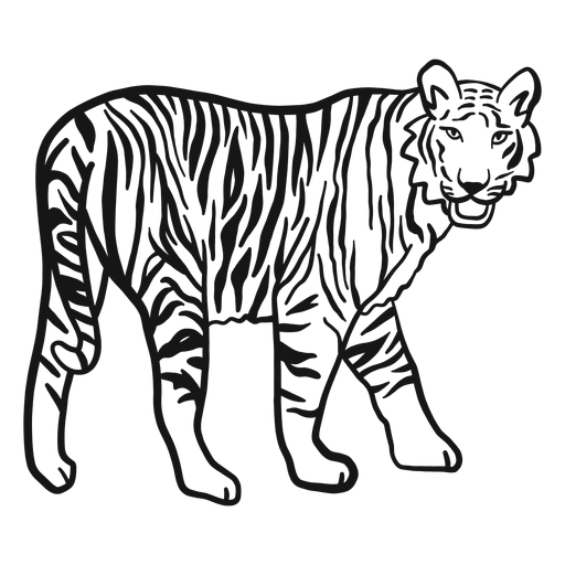 Tiger muzzle stripe ear tail doodle PNG Design