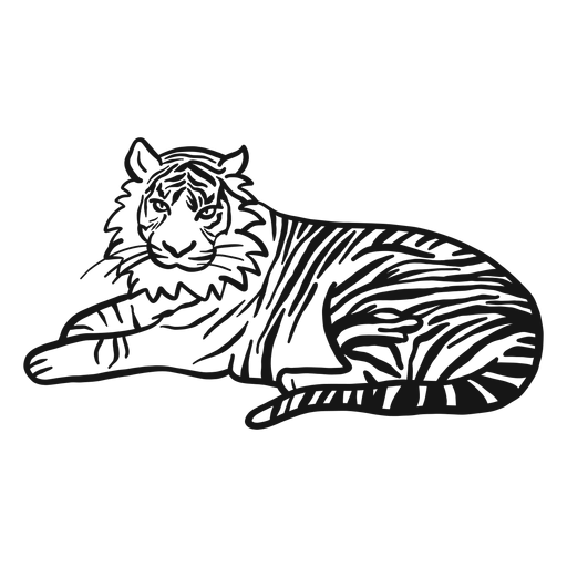 Tiger muzzle stripe ear tail lying doodle PNG Design
