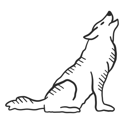 Lobo aullido oreja depredador cola doodle Diseño PNG