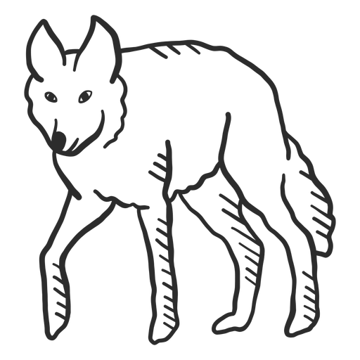 Lobo aullido depredador oreja cola doodle Diseño PNG
