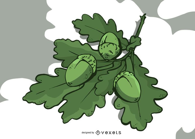 Eichenlaub und Eichel-Illustrations-Design Eichenlaub und Eichel-Illustrations-Design