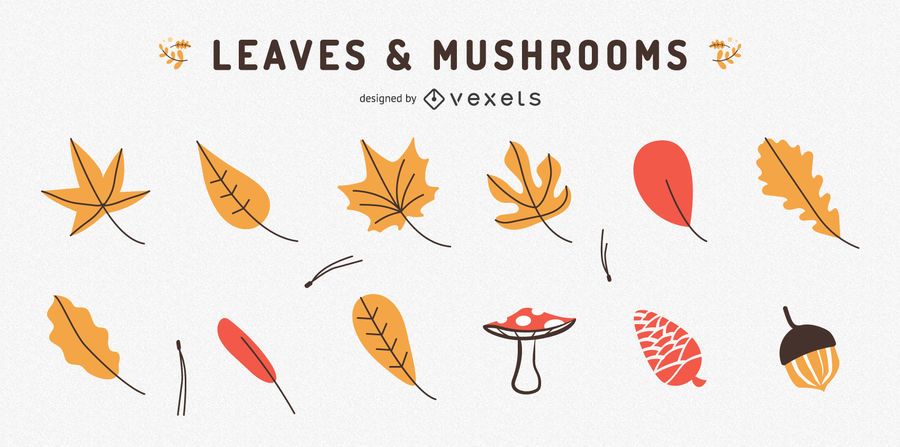 Leaves and mushrooms collection Leaves and mushrooms collection