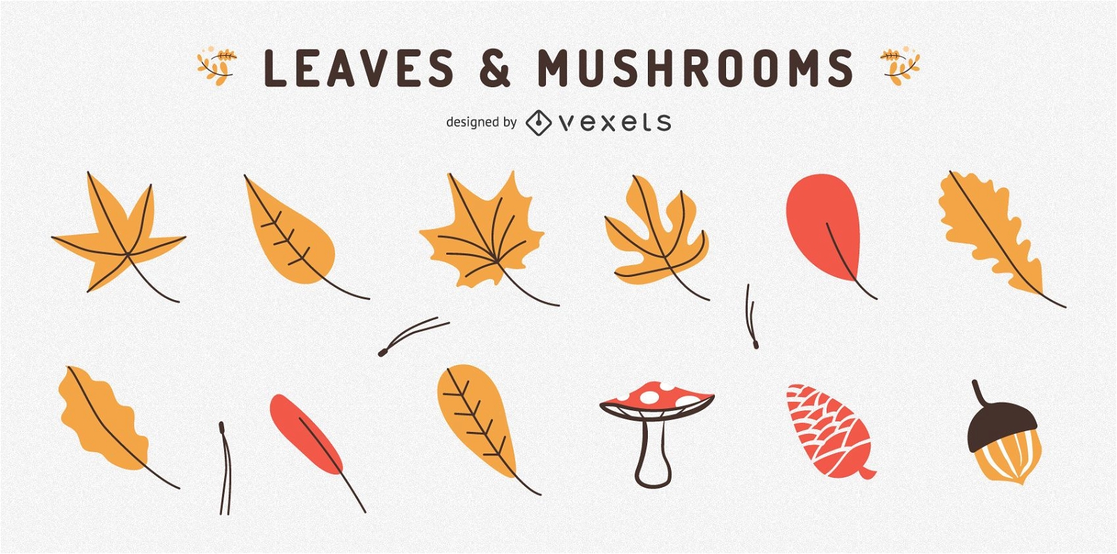 Leaves and mushrooms collection