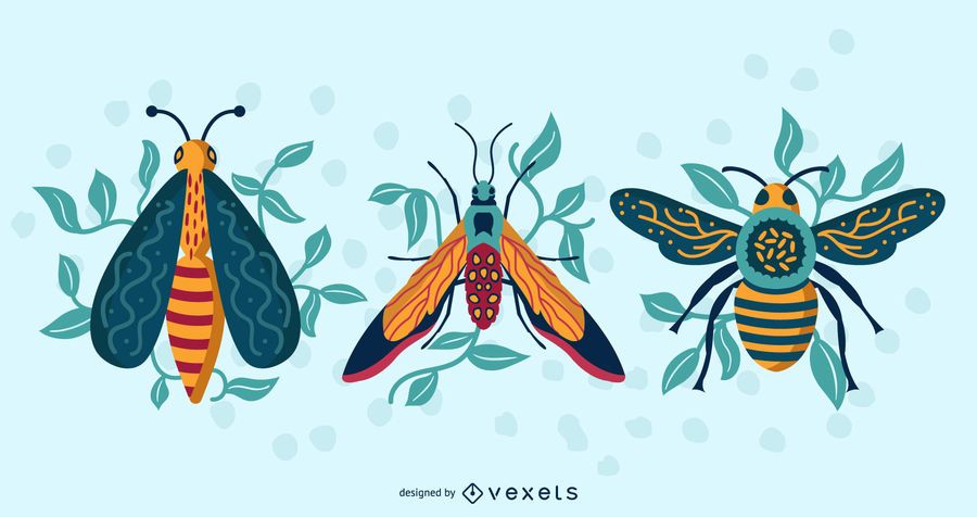 Colorful Insects Top View Vector Pack Colorful Insects Top View Vector Pack