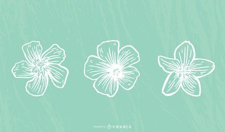 Hibiscus Flower Stroke
