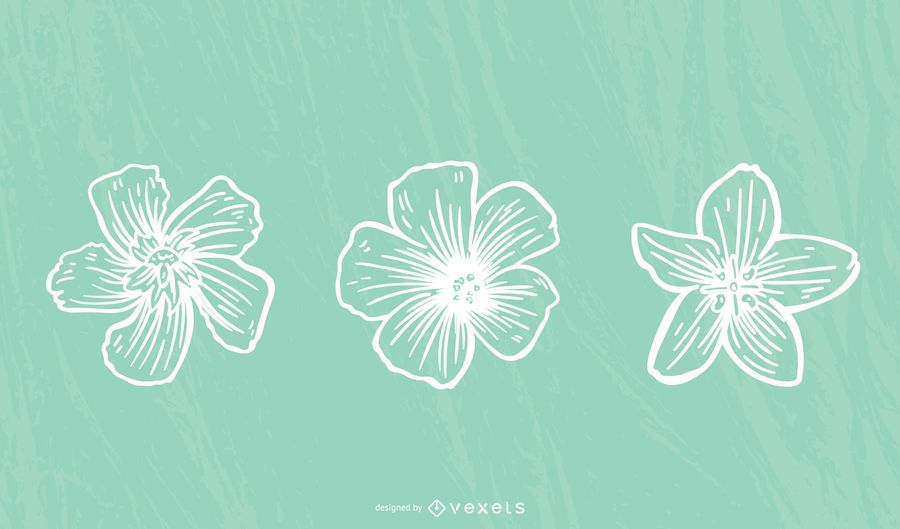 Hibiscus Flower Stroke Hibiscus Flower Stroke