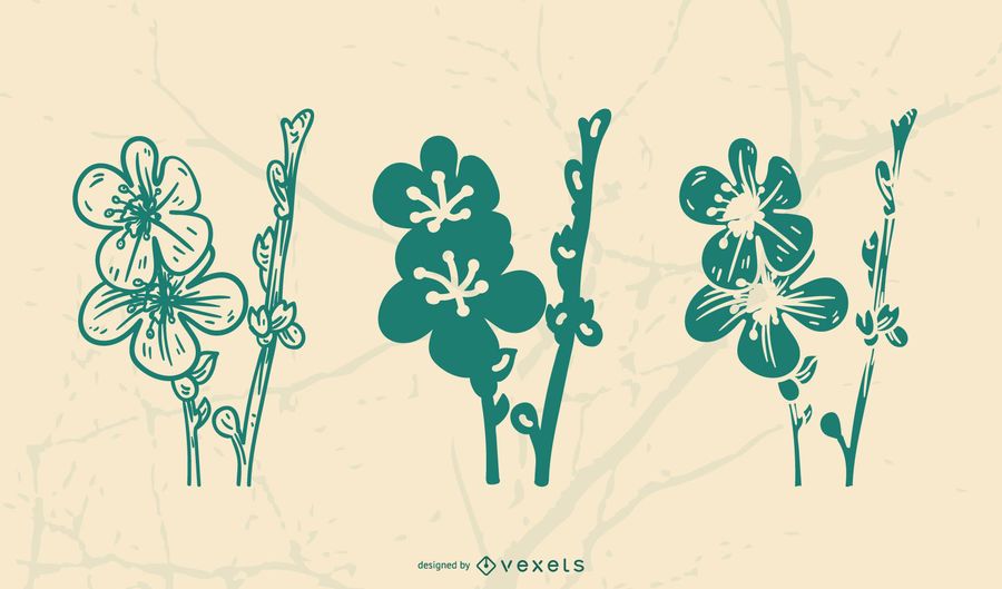 HAWAIISCHES HIBISKUS-BLUMEN-DESIGN HAWAIISCHES HIBISKUS-BLUMEN-DESIGN