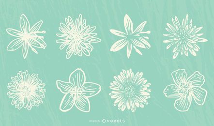 Hand drawn flowers collection Hand drawn flowers collection