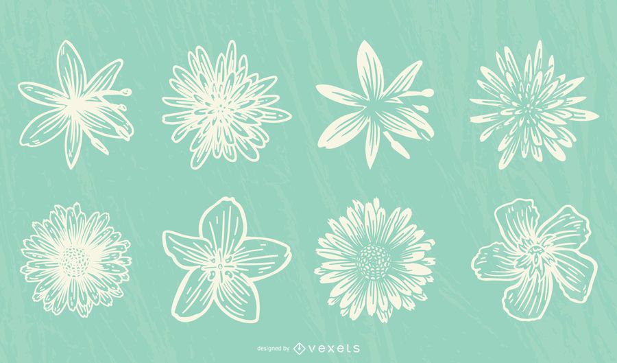 Hand drawn flowers collection Hand drawn flowers collection