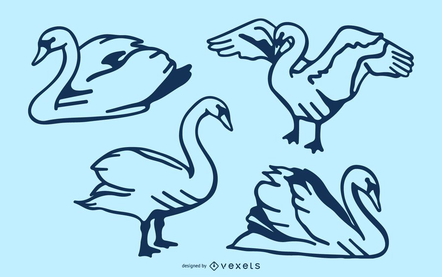 Swan stroke vector set Swan stroke vector set